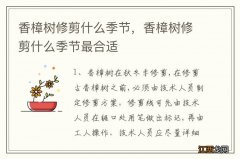 香樟树修剪什么季节，香樟树修剪什么季节最合适