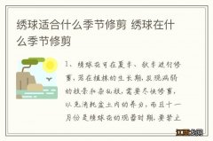 绣球适合什么季节修剪 绣球在什么季节修剪