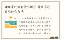 龙鱼不吃食有什么绝招 龙鱼不吃食有什么办法