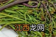 肺栓塞吃什么食物好呢