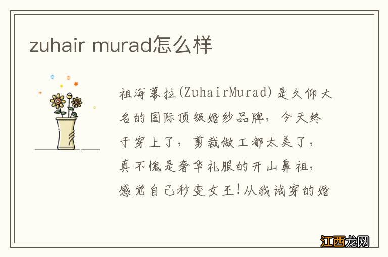 zuhair murad怎么样