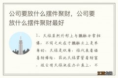 公司要放什么摆件聚财，公司要放什么摆件聚财最好