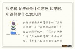 应纳税所得额是什么意思 应纳税所得额是什么意思啊