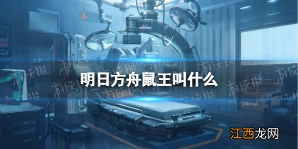 明日方舟鼠王叫什么 明日方舟鼠王名字答案