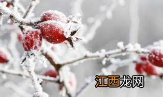 霜降算冬天吗 霜降算是冬天吗