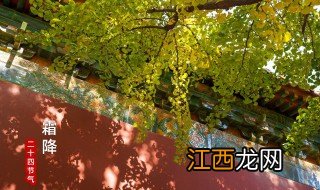 霜降第几个节气 霜降是几个节气