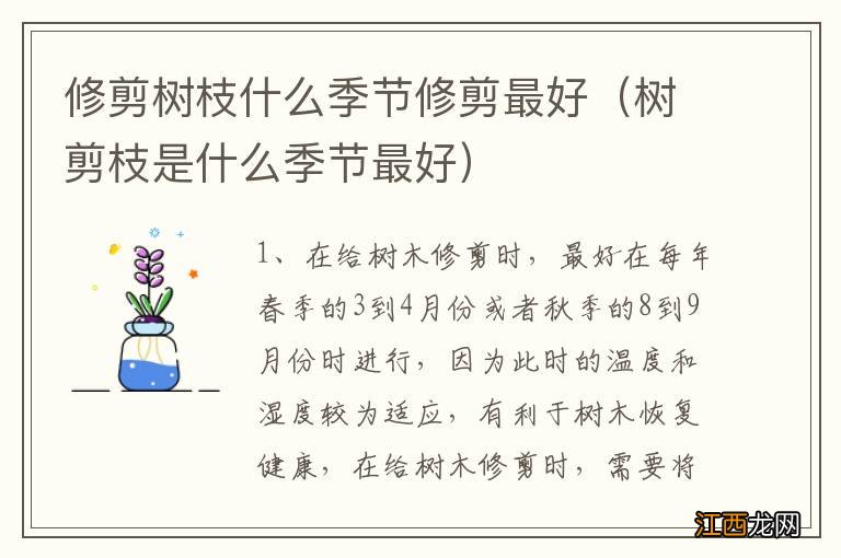 树剪枝是什么季节最好 修剪树枝什么季节修剪最好