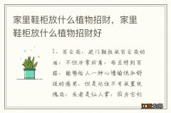 家里鞋柜放什么植物招财，家里鞋柜放什么植物招财好