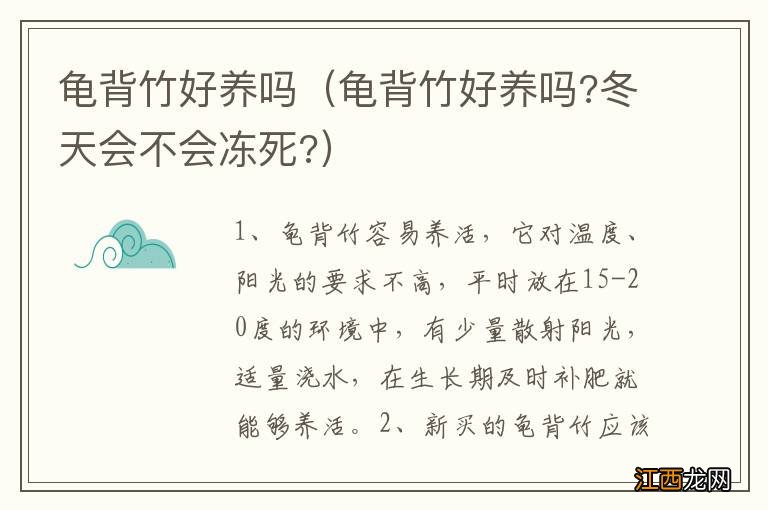 龟背竹好养吗?冬天会不会冻死? 龟背竹好养吗