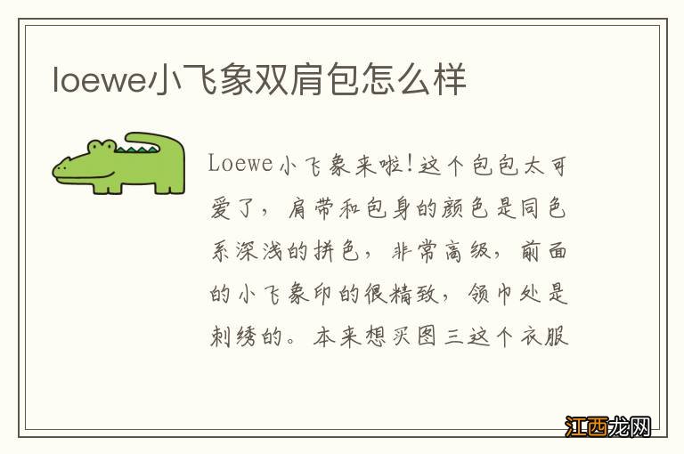 loewe小飞象双肩包怎么样