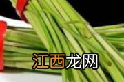 夏天宝宝吃什么粥好