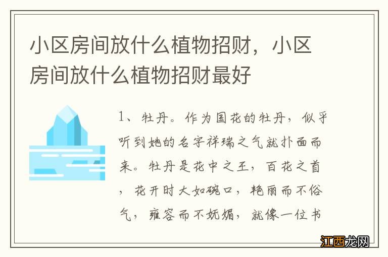 小区房间放什么植物招财,小区房间放什么植物招财最好