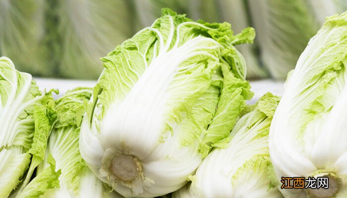 大白菜十一月份可以种吗视频 大白菜十一月份可以种吗