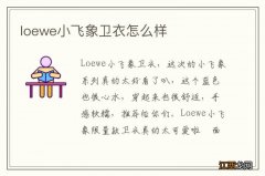 loewe小飞象卫衣怎么样