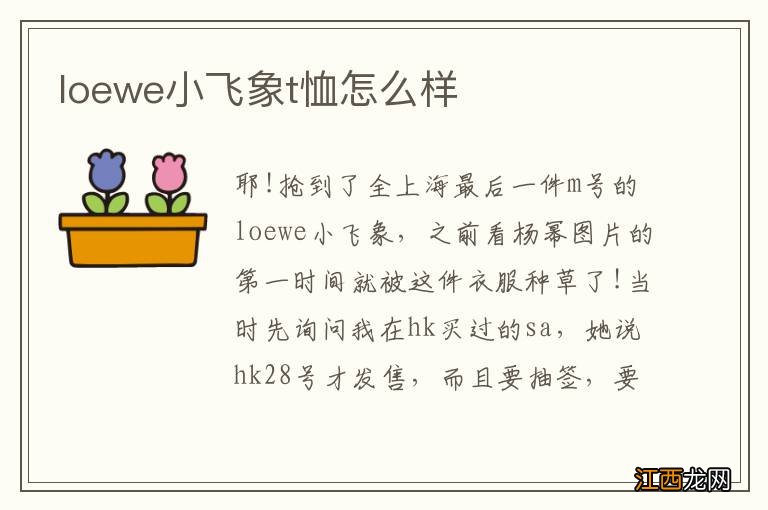 loewe小飞象t恤怎么样