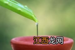 芦荟面膜要敷多久？芦荟面膜要敷多长时间？