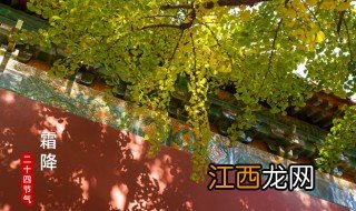 霜降节气简介 霜降节气简介的手抄报