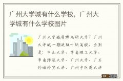 广州大学城有什么学校，广州大学城有什么学校图片