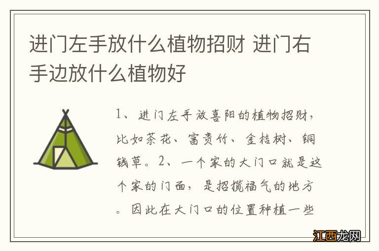 进门左手放什么植物招财 进门右手边放什么植物好