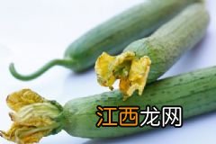 菠萝粥有哪些营养价值？菠萝粥的做法有哪些？