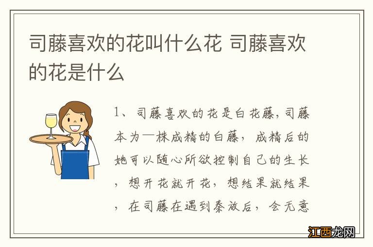 司藤喜欢的花叫什么花 司藤喜欢的花是什么