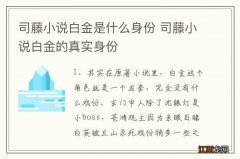 司藤小说白金是什么身份 司藤小说白金的真实身份