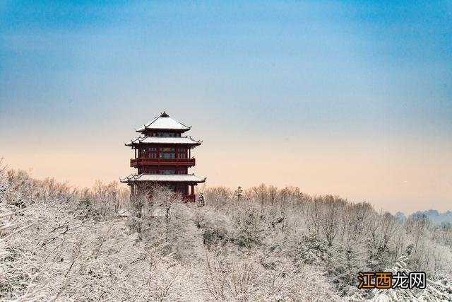 全国各地雾凇大赏！琼花玉树一相逢，便惊起“哇”声一片