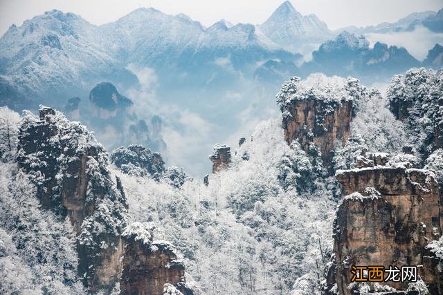 全国各地雾凇大赏！琼花玉树一相逢，便惊起“哇”声一片