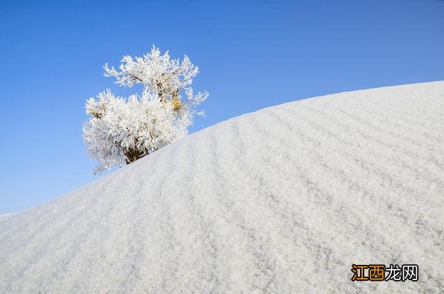 全国各地雾凇大赏！琼花玉树一相逢，便惊起“哇”声一片