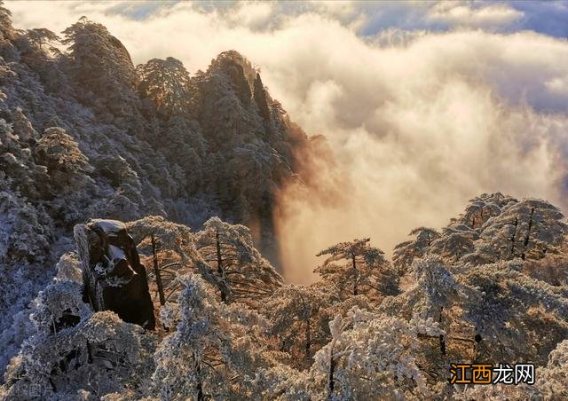 全国各地雾凇大赏！琼花玉树一相逢，便惊起“哇”声一片