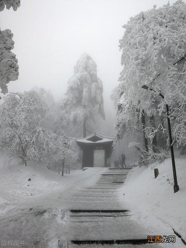 全国各地雾凇大赏！琼花玉树一相逢，便惊起“哇”声一片