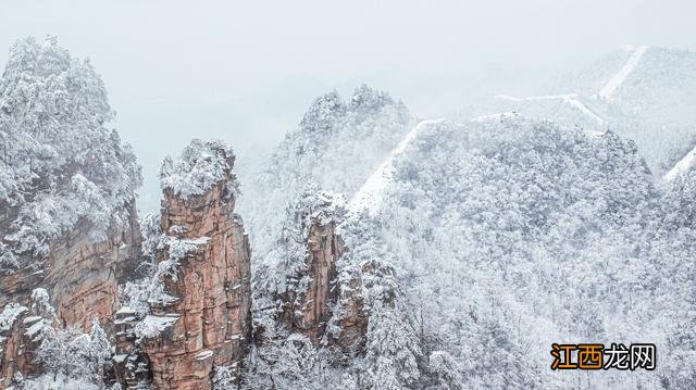 全国各地雾凇大赏！琼花玉树一相逢，便惊起“哇”声一片