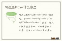 阿迪达斯byw什么意思