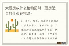 厨房适合放什么花招财 大厨房放什么植物招财