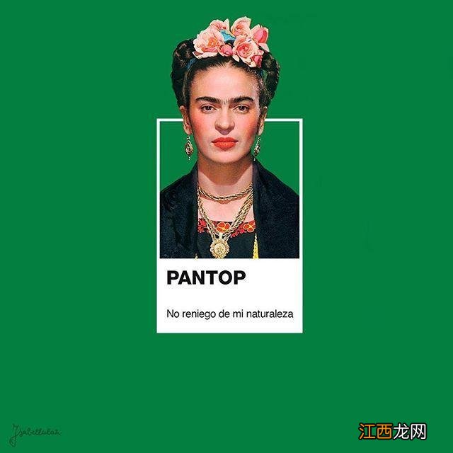 特别的Pantone色卡 pantone色卡怎么找色