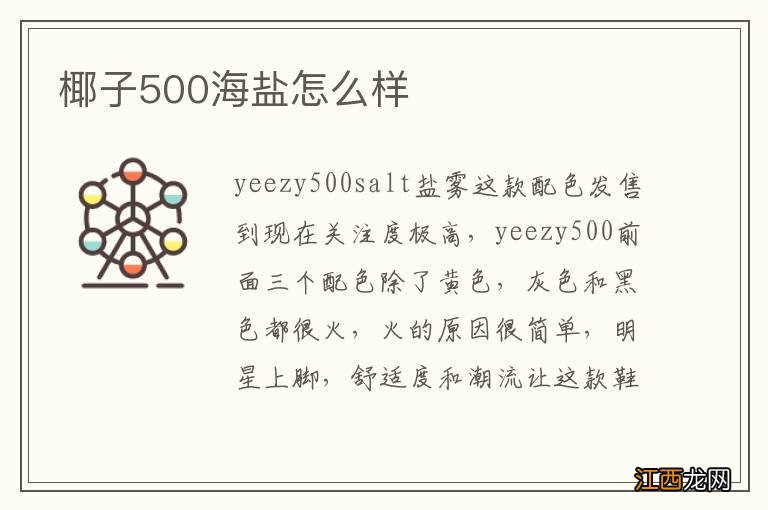 椰子500海盐怎么样