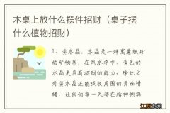 桌子摆什么植物招财 木桌上放什么摆件招财