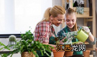 饭店放什么植物招财，饭店放什么植物招财好