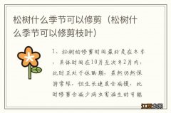 松树什么季节可以修剪枝叶 松树什么季节可以修剪