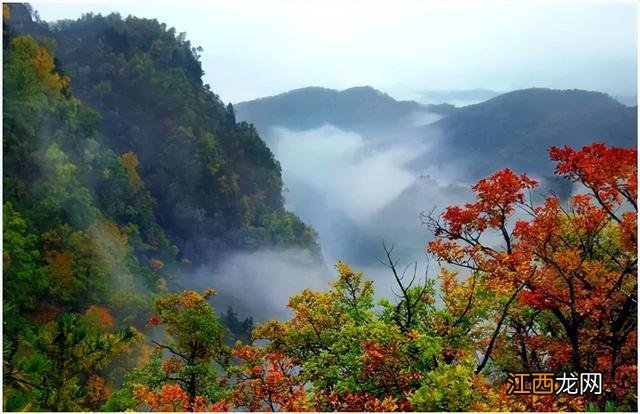 平凉，藏着多少极致的景象？