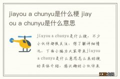 jiayou a chunyu是什么梗 jiayou a chunyu是什么意思