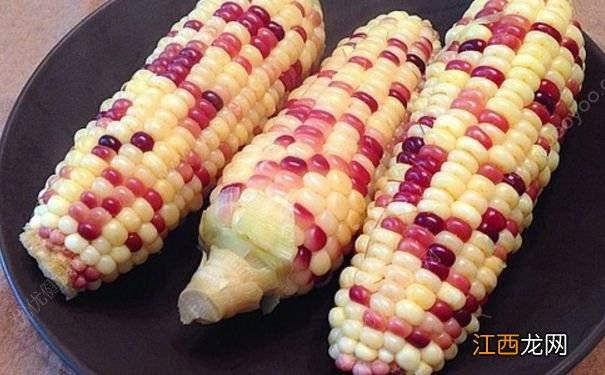 吃什么食物可以补充胶原蛋白？拥有美白肌肤