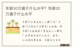 年薪30万属于什么水平？年薪20万属于什么水平