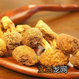 姬松茸忌跟什么一起吃 姬松茸不能和什么一起吃