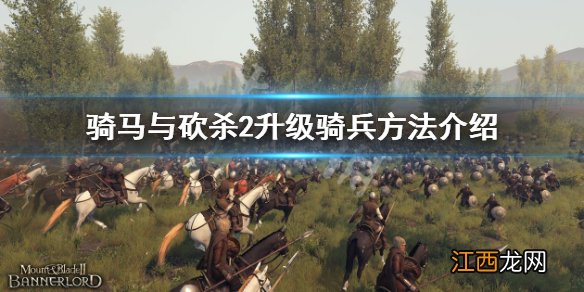 骑马与砍杀2怎么升级骑兵-升级骑兵方法介绍