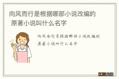 向风而行是根据哪部小说改编的 原著小说叫什么名字