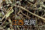 鹿血的功效与作用