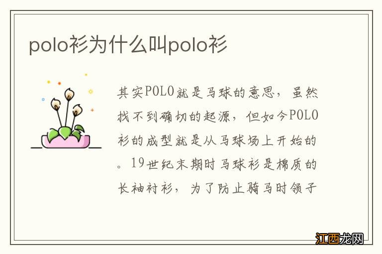 polo衫为什么叫polo衫