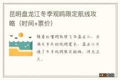 时间+票价 昆明盘龙江冬季观鸥限定航线攻略