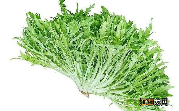 夏季吃哪些苦味蔬菜有利于防暑？夏季防暑吃哪些苦味蔬菜好？